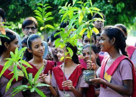 Monsoon Plantation